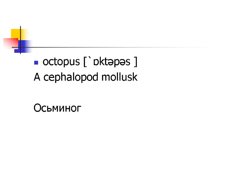 octopus [`ɒktəpəs ] A cephalopod mollusk  Осьминог